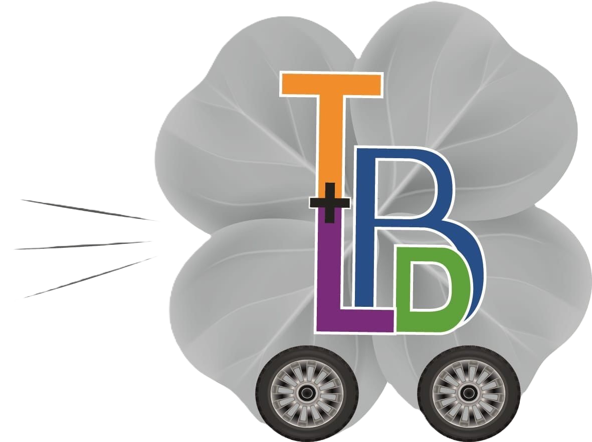 Taxi Lydia logo